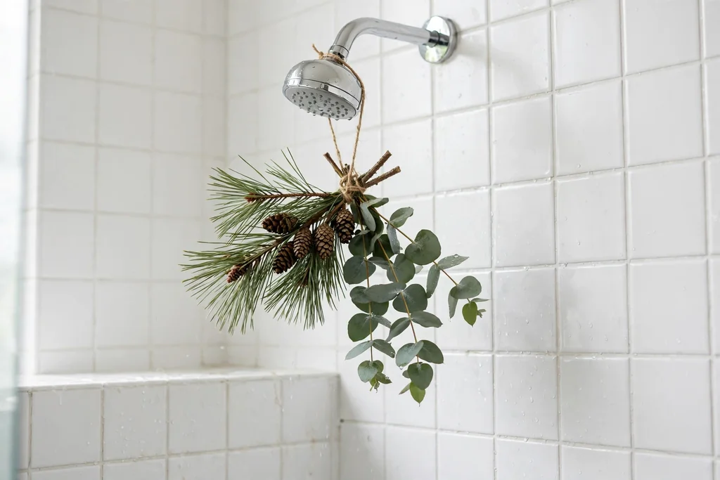 Small bundle of pine and eucalyptus stems tied to a showerhead in a tiled shower.