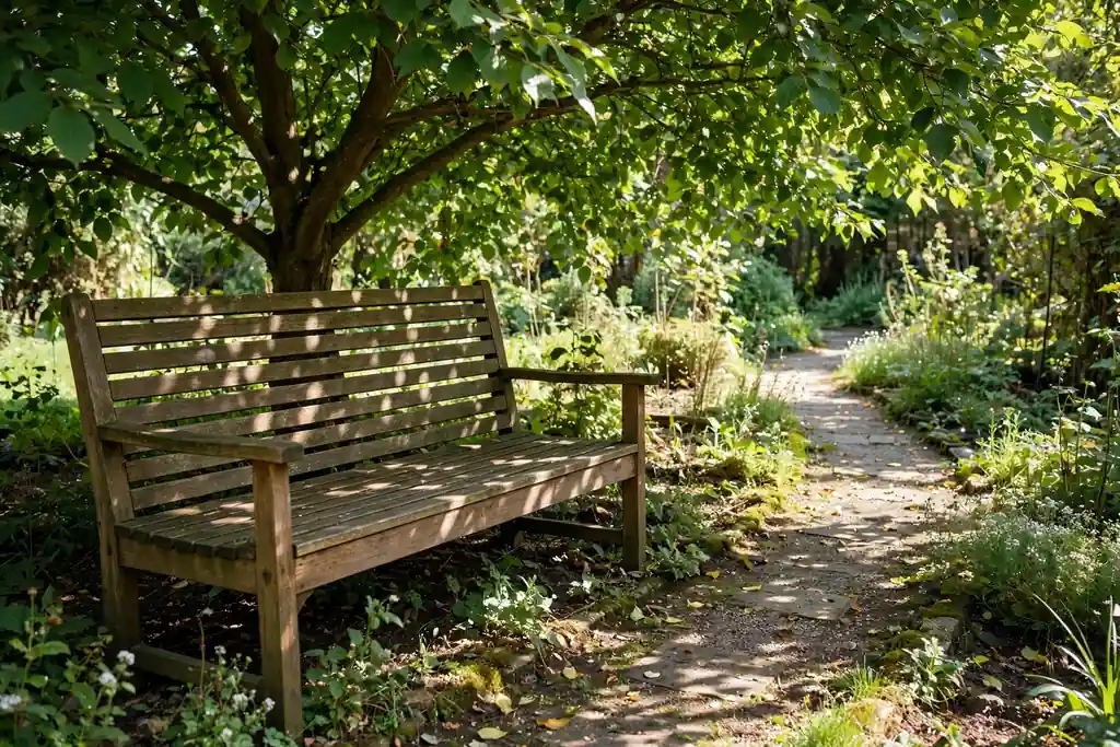 Wooden slatted garden bench under a leafy tree with dappled light on a garden path