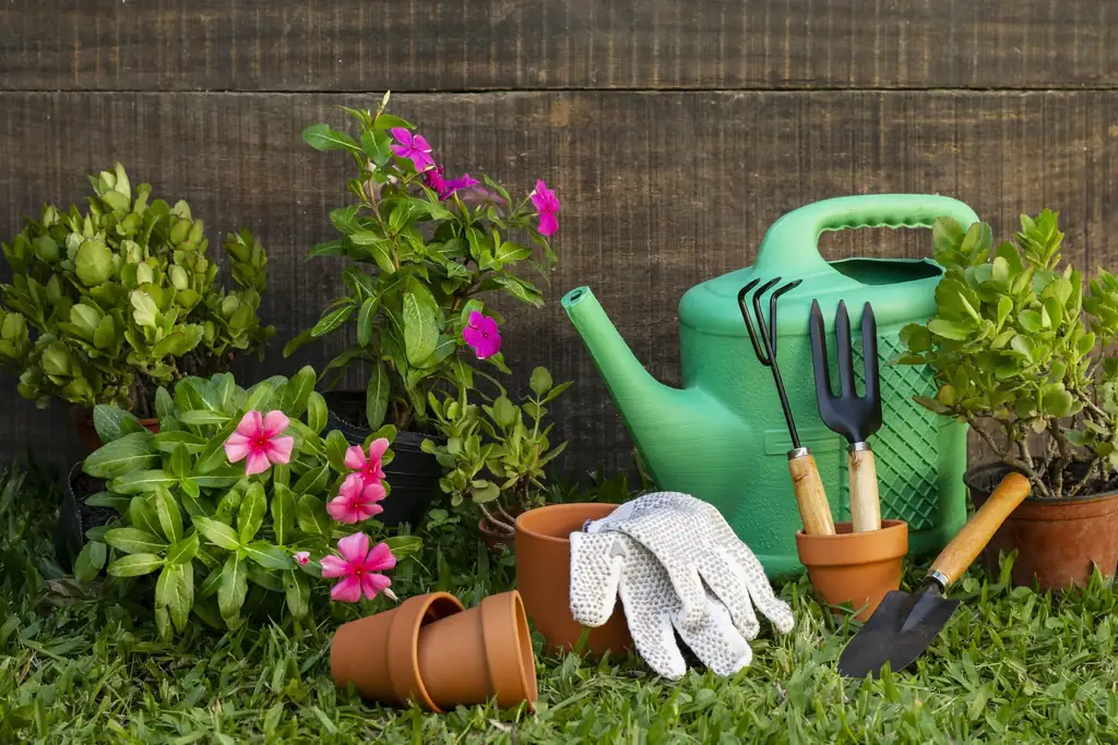 Watering can, gloves, and hand tools grouped beside potted plants.