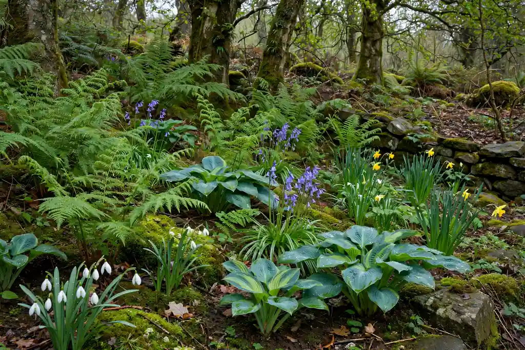 Woodland shade garden with ferns, hostas, and spring bulbs under trees.
